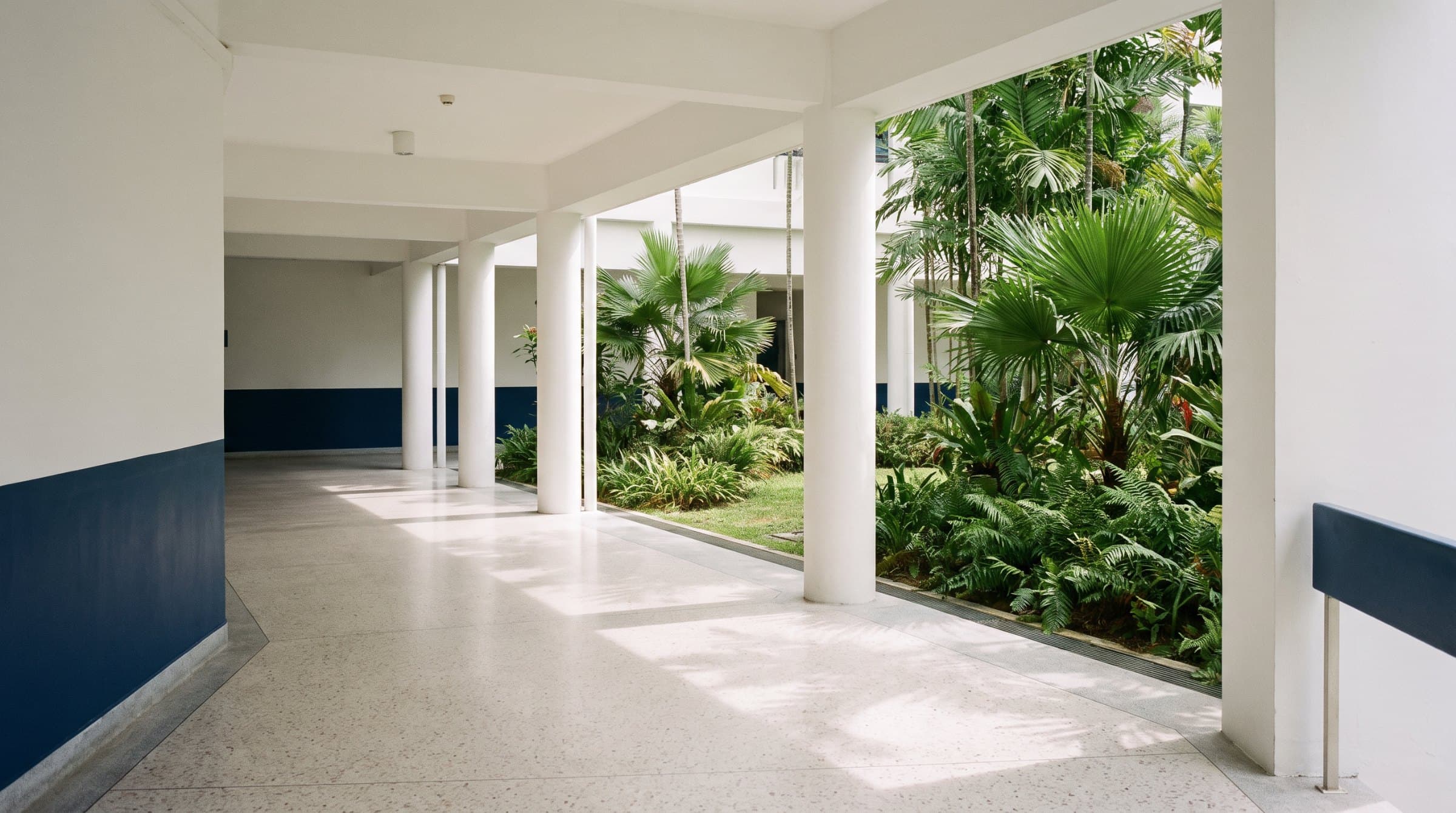 An open-air hospital corridor with a navy wall stripe beside a garden courtyard